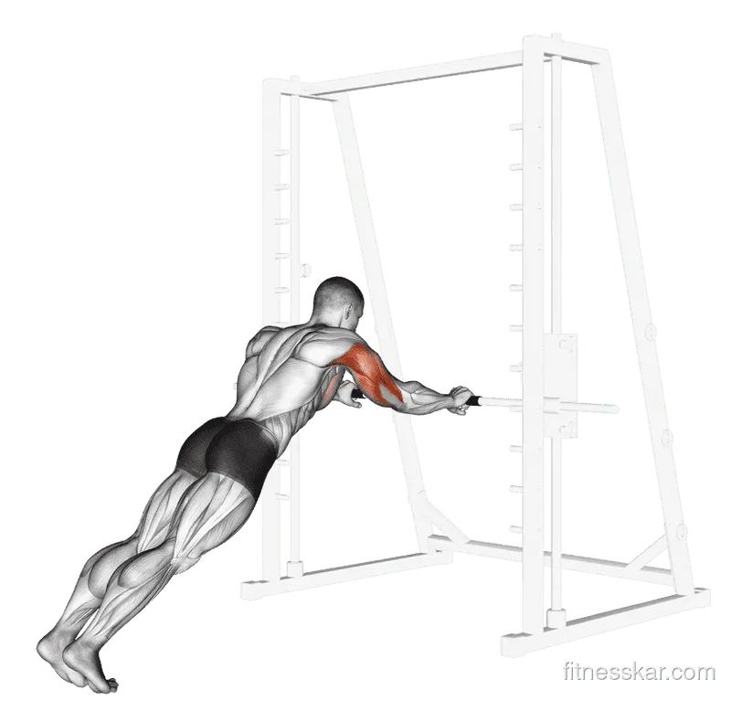 Triceps Press, Male demonstration, Start