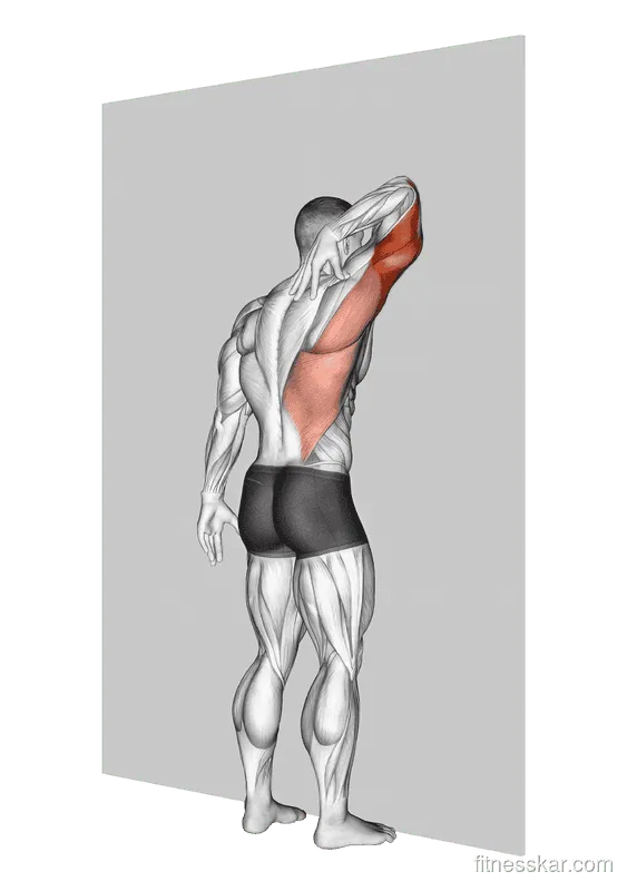 Triceps Stretch Against Wall