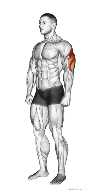 Triceps Stretch, Male demonstration, Start