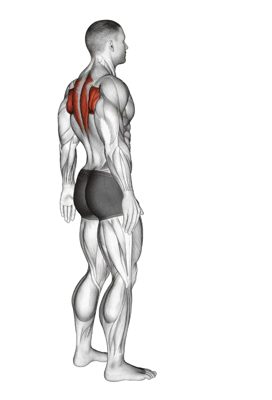 Upper Back Stretch