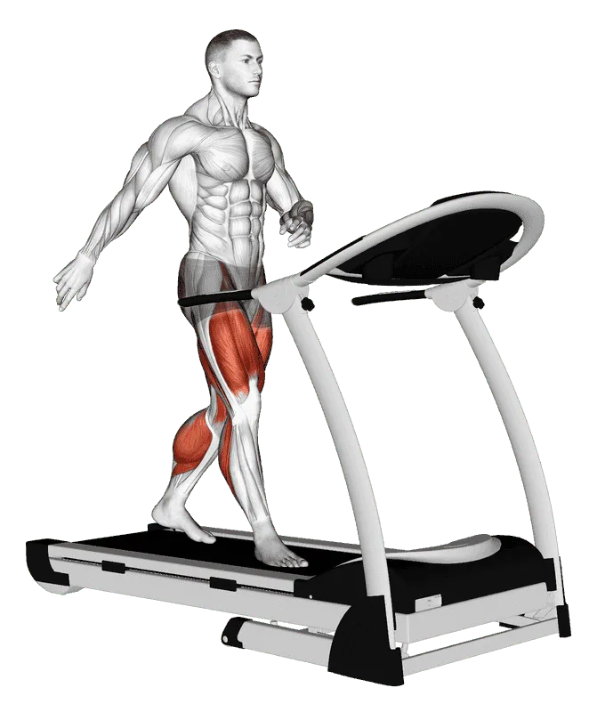 Walking on Treadmill