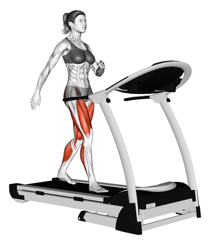 Walking on Treadmill, Female demonstration, Start