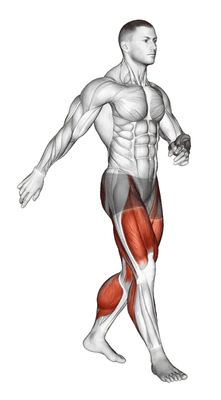 Walking, Male demonstration, Start