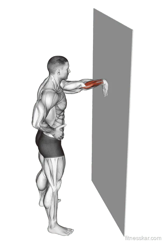 Wall Flexors Stretch