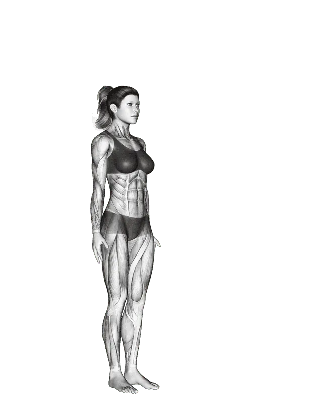 Warrior Pose II (Virabhadrasana II)
