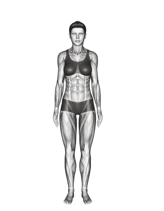 Warrior Pose I (Virabhadrasana I)