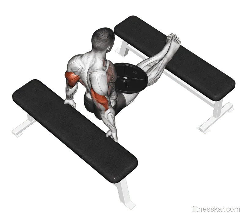 Weighted Bench Dip, Male demonstration, Start