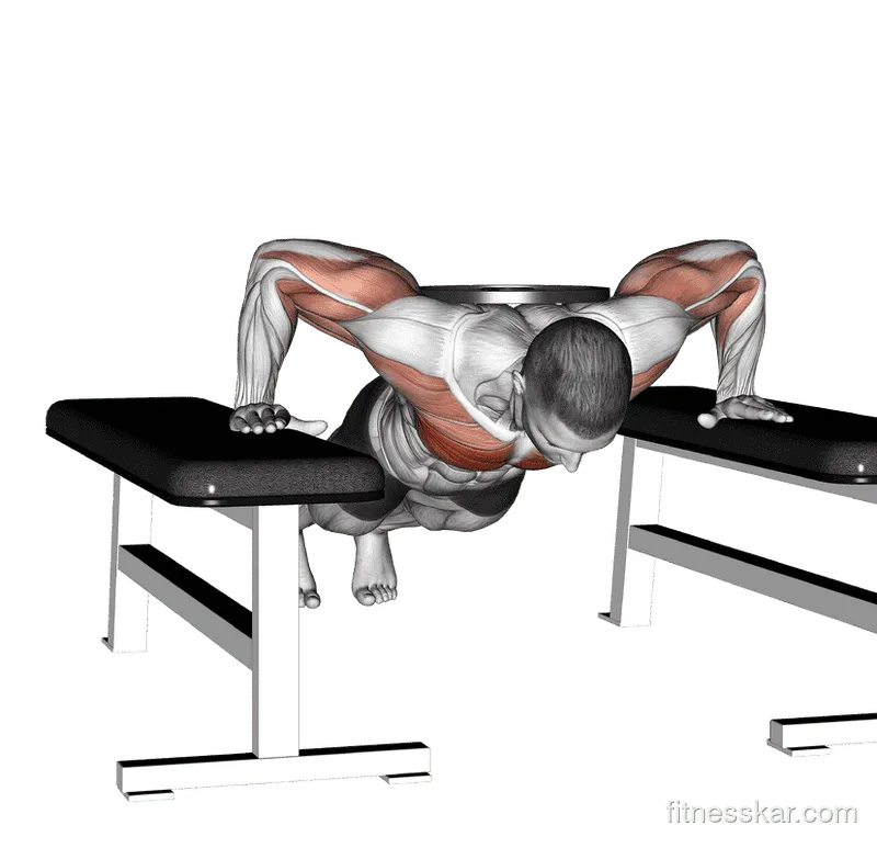 Weighted Drop Push-Up, Male demonstration, Start