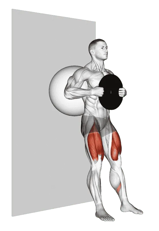 Weighted Exercise Ball Wall Squat