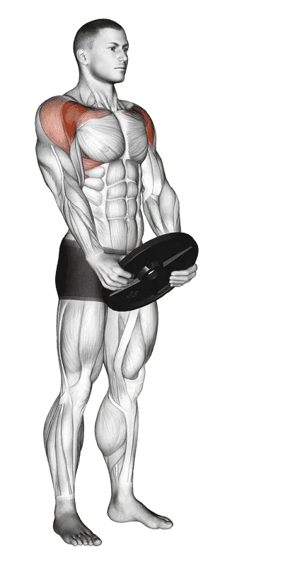 Weighted Front Raise