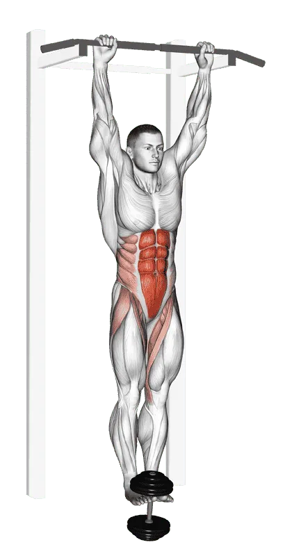 Weighted Hanging Leg Hip Raise