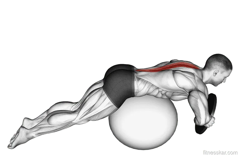 Weighted Hyperextension (on Stability Ball), Male demonstration, Start