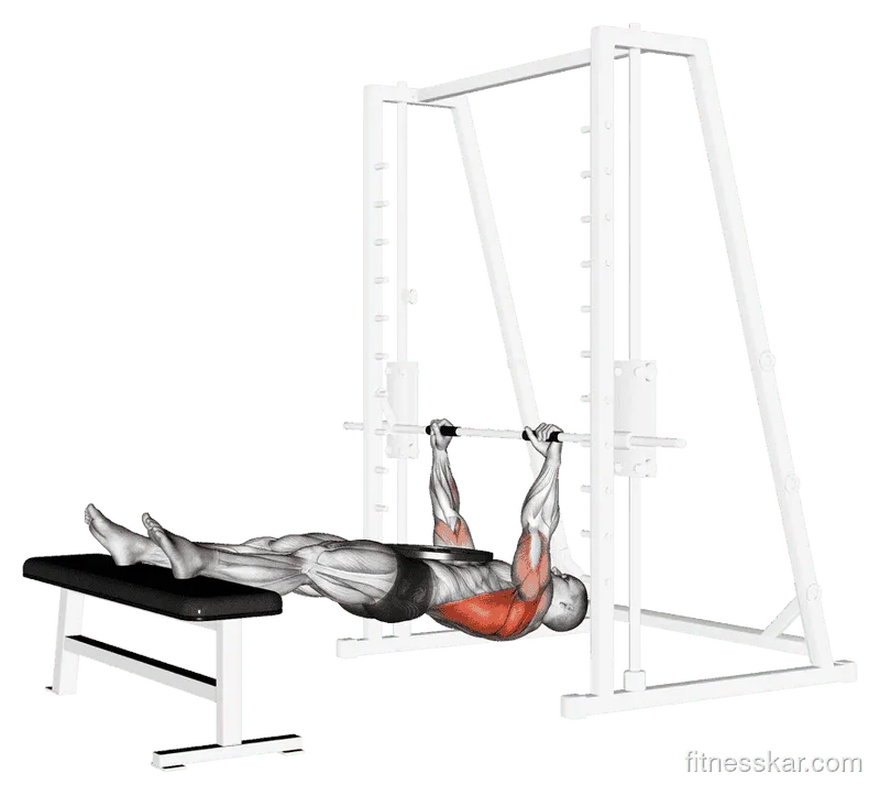 Weighted Inverted Row, Male demonstration, Start