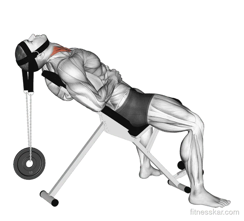 Weighted Lying Neck Flexion (with Head Harness), Male demonstration, Start