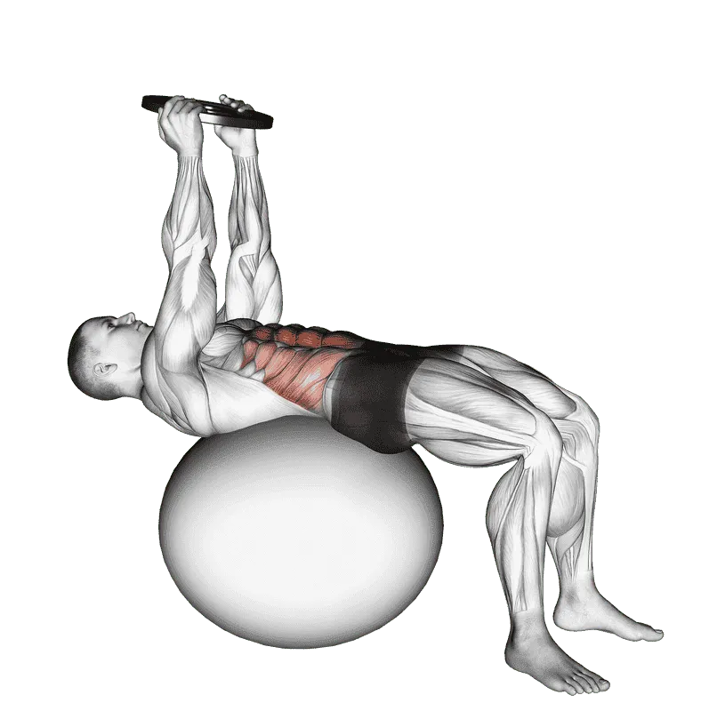 Weighted Overhead Crunch (on stability ball)