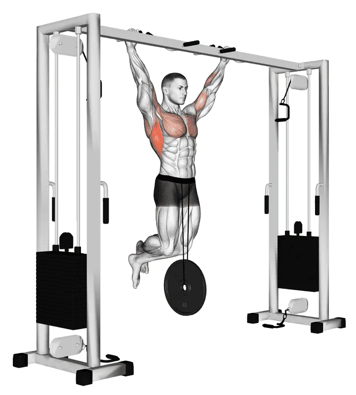 Weighted Pull-Up