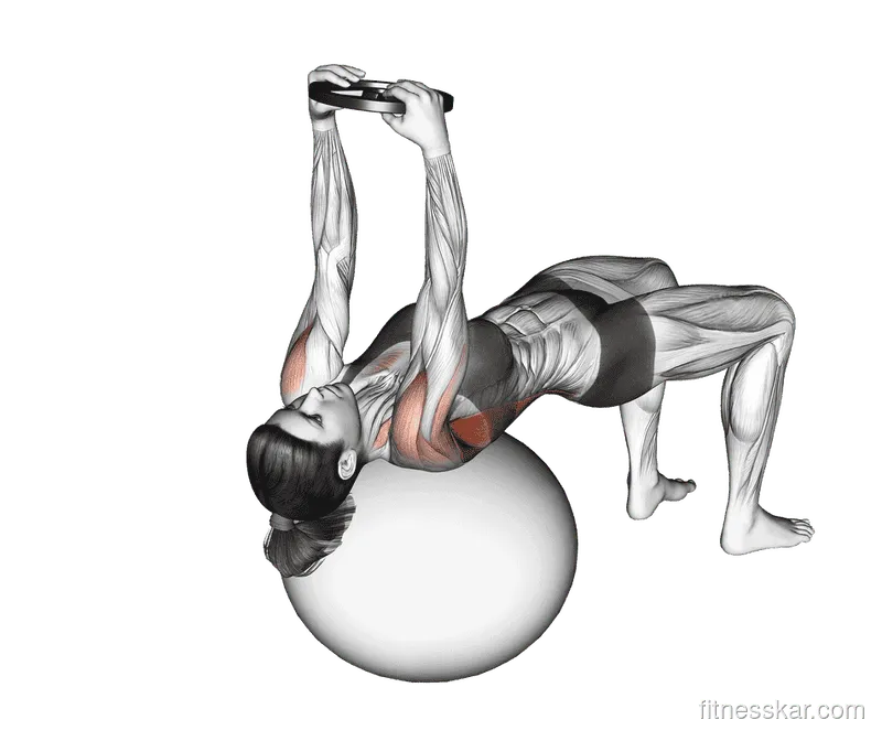 Weighted Pullover (on Stability Ball), Female demonstration, Start