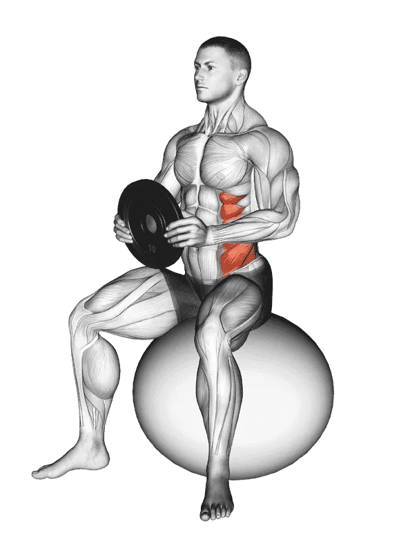 Weighted Seated Twist (on stability ball), Male demonstration, Start