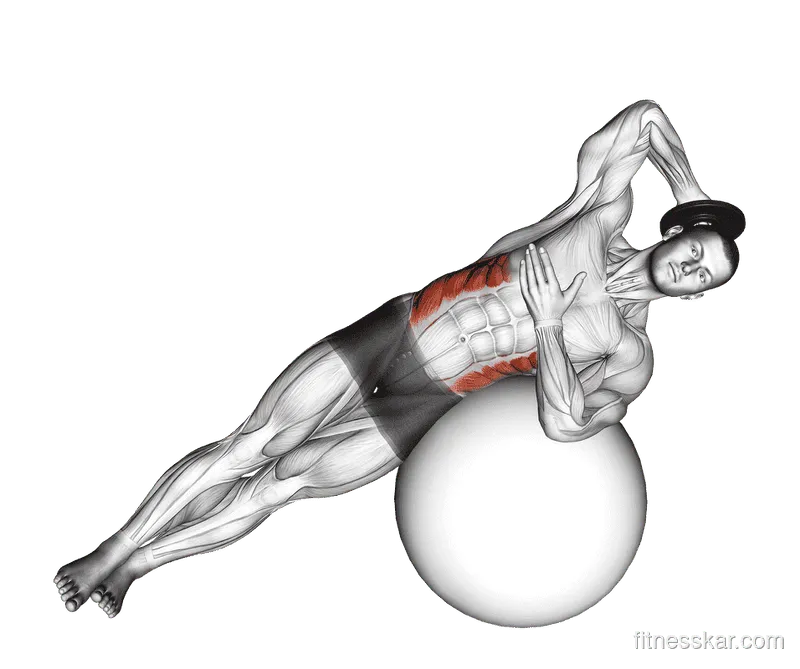 Weighted Side Bend (on Stability Ball), Male demonstration, Start