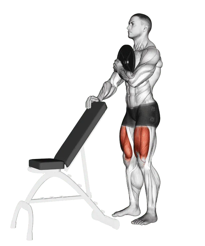 Weighted Sissy Squat, Male demonstration, Start