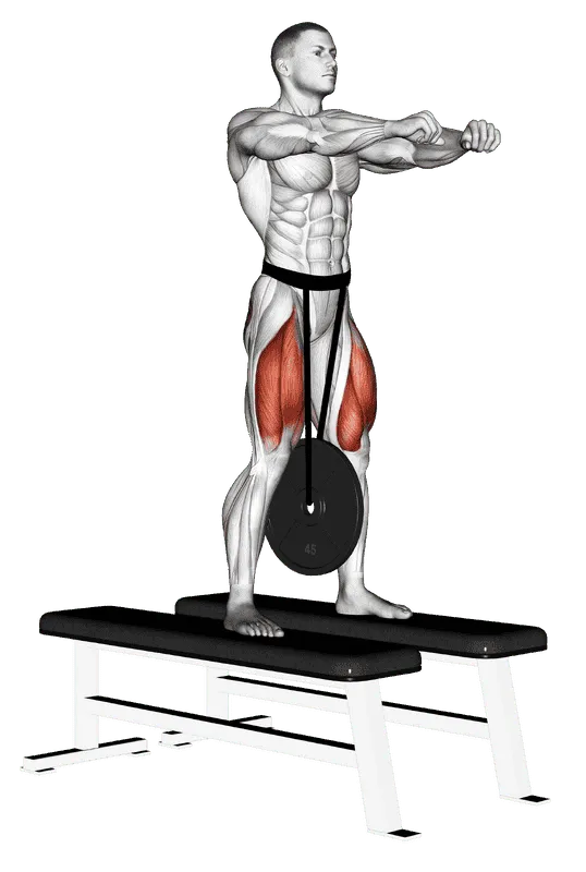 Weighted Squat