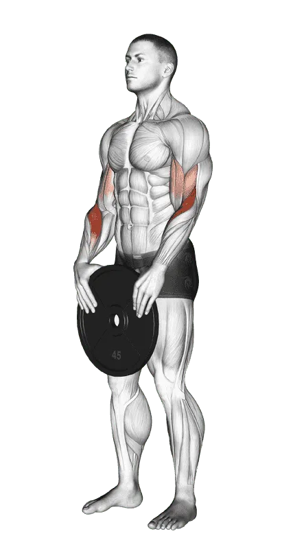 Weighted Standing Curl, Male demonstration, Start