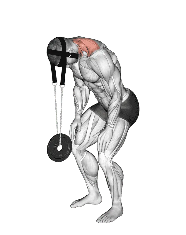 Weighted Standing Neck Extension (with Head Harness), Male demonstration, Start