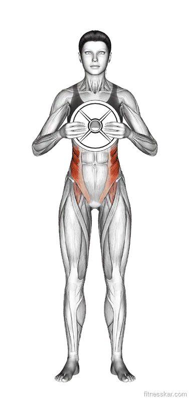 Weighted Standing Twist