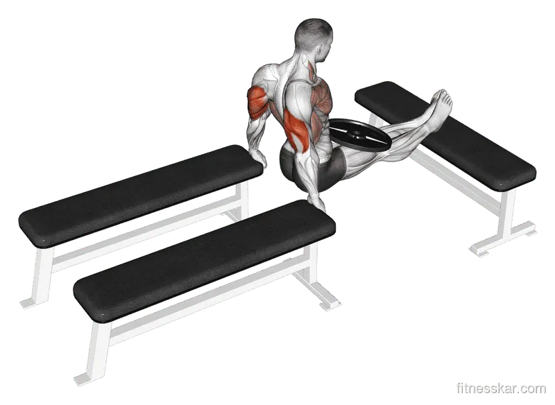 Weighted Three-Bench Dips