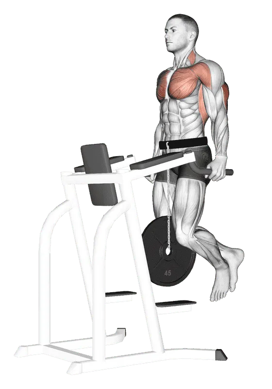 Weighted Tricep Dips