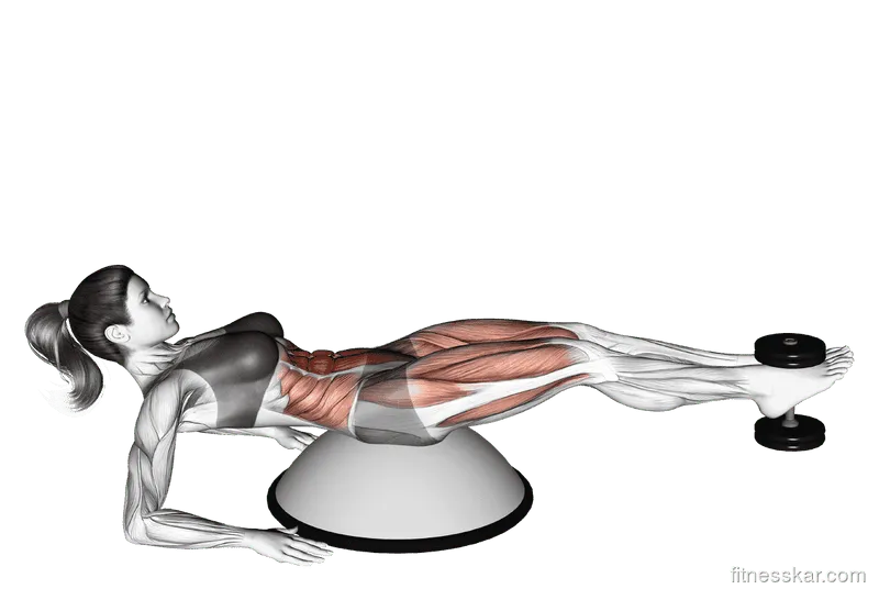 Weighted V-Crunch (on Bosu Ball)