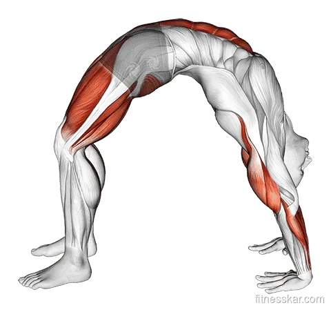 Wheel Pose