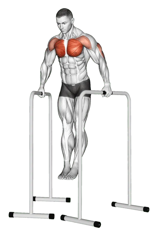 Wide-Grip Chest Dip on High Parallel Bars