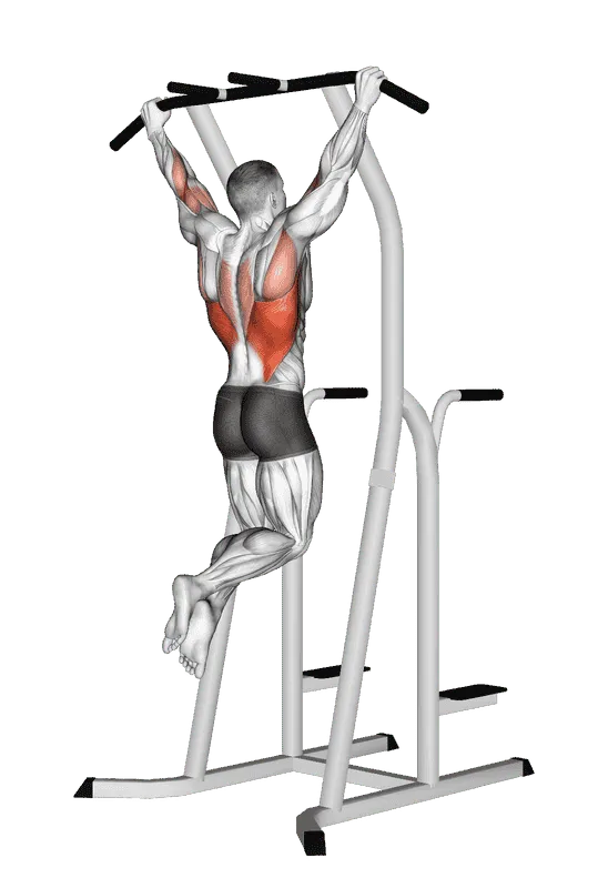 Wide-Grip Pull-Up on Dip Cage