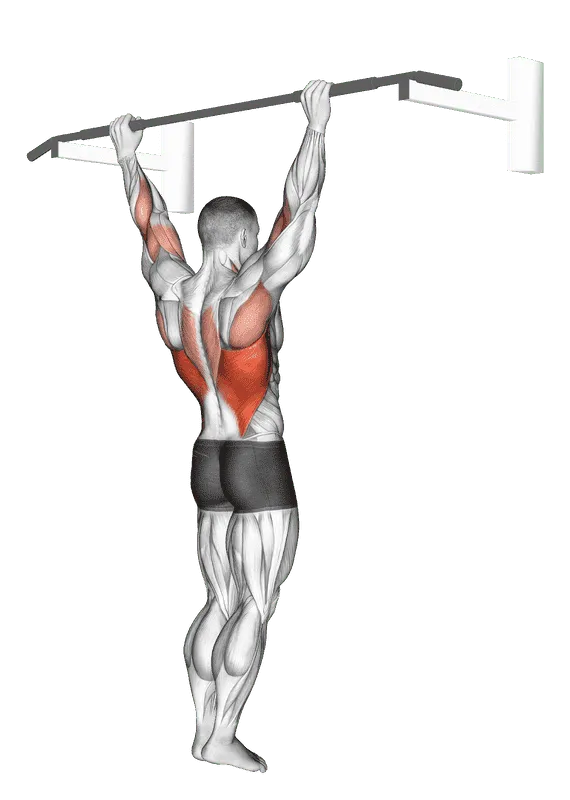 Wide-Grip Pull-Up