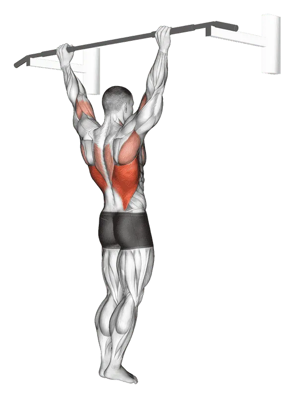 Wide-Grip Rear Pull-Up
