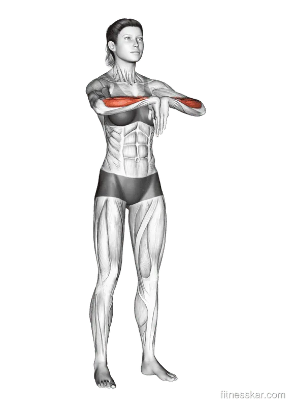 Wrist Extensor Stretch