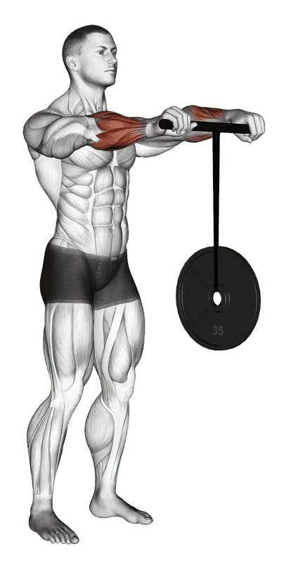Wrist Roller