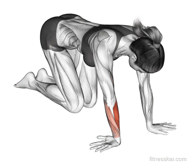 Wrist Ulnar Deviator and Extensor Stretch, Female demonstration, Start