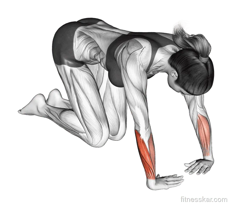 Wrist Ulnar Deviator and Flexor Stretch
